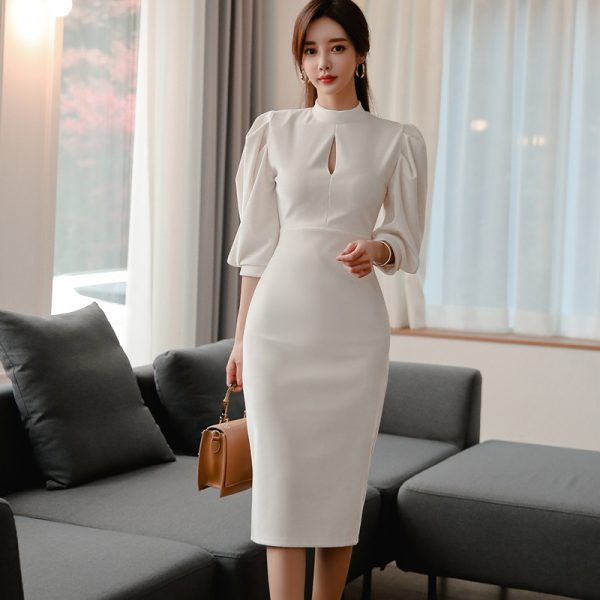 Cstand collar slim temperament fashion dress for women
